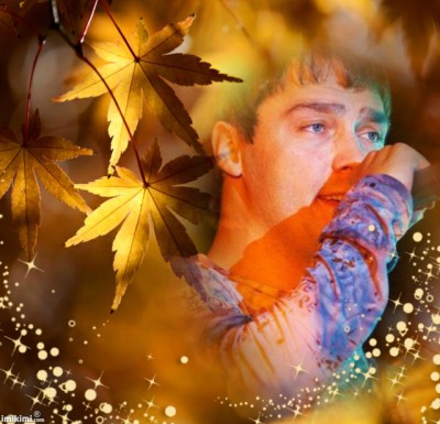 lissy-gold leaves - 2zxDa-4jzCe - normal.jpg