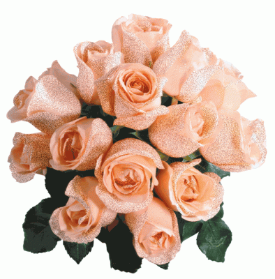 4789081.gif