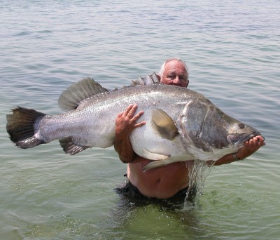 2006-3-7-egypt-big-fish-2 (1).jpg