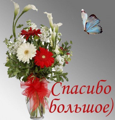 x_926b4025.jpg